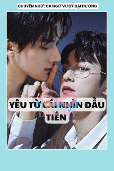 YÊU TỪ CÁI NHÌN ĐẦU TIÊN