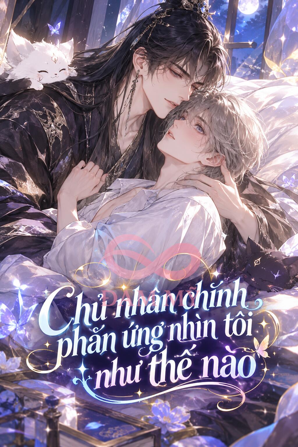 Chủ nhân chính phản ứng nhìn tôi như thế nào