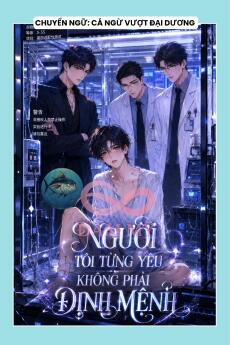 NGƯỜI TÔI TỪNG YÊU KHÔNG PHẢI ĐỊNH MỆNH