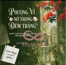 PHƯỢNG VĨ NỞ TRONG ĐÊM TRẮNG