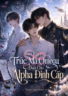 Sau Khi Bị Trúc Mã Omega Đưa Cho Alpha Đỉnh Cấp
