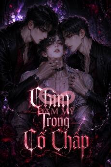 Chìm Trong Cố Chấp