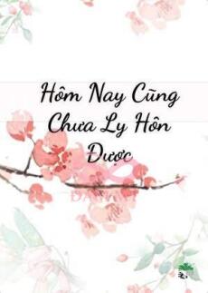Hôm Nay Cũng Chưa Ly Hôn Được